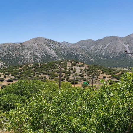 Villa Skyphos Ammoudari Eksteriør billede
